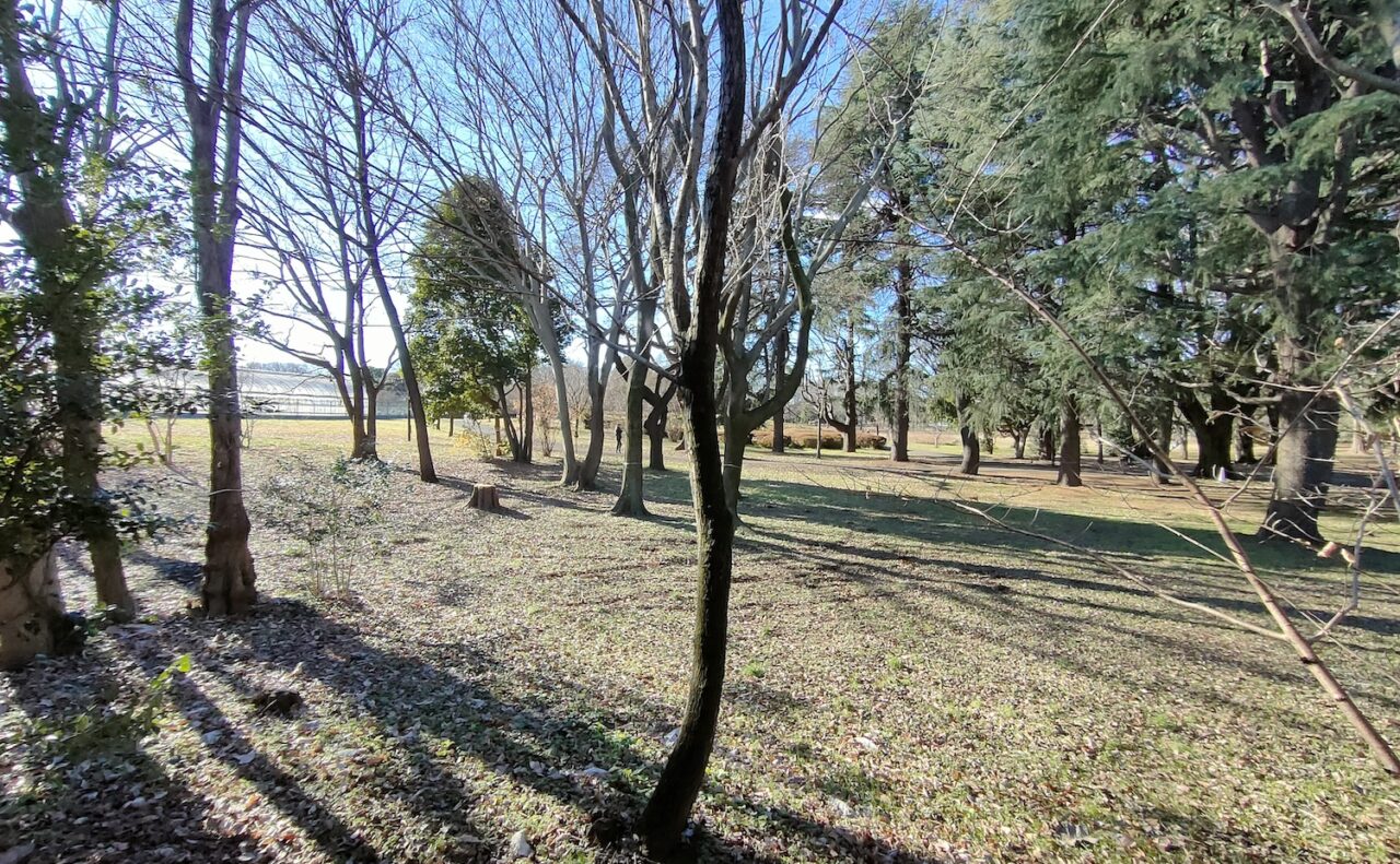 今朝のアトリエから外を見た風景